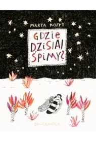 Gdzie dzisiaj śpimy?