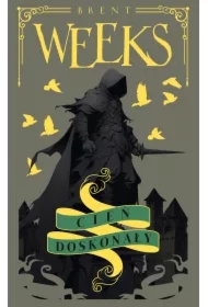 Cień doskonały. Anioł Nocy