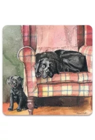 Magnes FM247 Psy Sophie&Scarlett