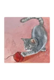 Magnes FM215 Kot Pixie