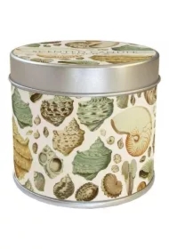 Zapachowa świeczka Muszle - zapach brzoskwiniowy