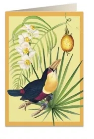 Karnet B6 + koperta 6053 Tukan i owoc