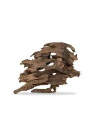 Korzeń Smocze drewno S 10-30cm