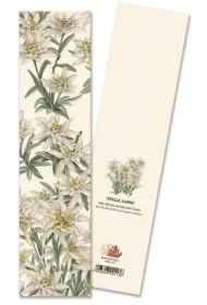 Zakładka do książki 9113 Stelle Alpine Szarotka