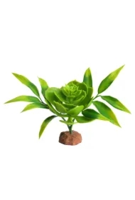 Dekoracja terrarystyczna roślina pustynna na podstawce średnia 20cm