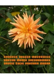 Doktor Murek zredukowany. Drugie życie doktora Murka