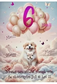 Karnet Urodziny 6 3K