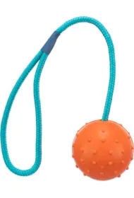 Gryzak gumowy na lince 6cm/30cm