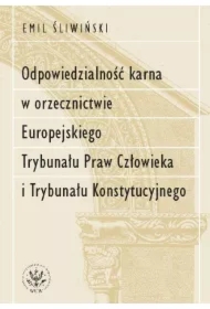 Odpowiedzialność karna w orzecznictwie Europejskiego Trybunału Praw Człowieka i Trybunału Konstytucyjnego