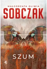 Granice ryzyka. Szum