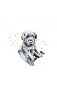 Karnet złocony kwadrat Piesek i ptaszek