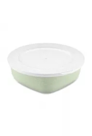 Pojemnik Connect box org gree/whit 3275294