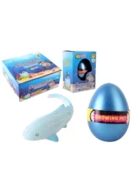 Jajko z rosnącym rekinem