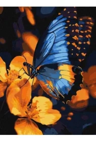 Malowanie po numerach - Migotanie skrzydeł