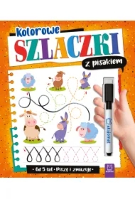 Kolorowe szlaczki z pisakiem Piszę i zmazuję 5 lat