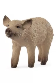 Prosię Mangalica