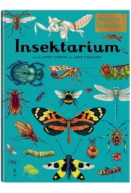 Insektarium. Muzeum Owadów