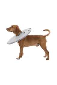 Kołnierz ochronny, XL:60-64cm/29cm, szary