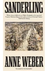 Sanderling wer. angielska