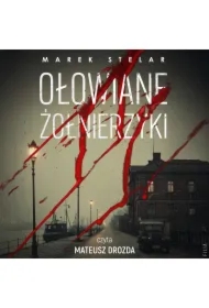 Ołowiane żołnierzyki