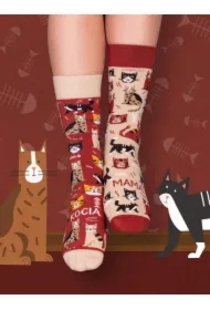 Skarpety długie Kocia mama 35-38