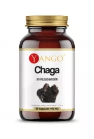 Chaga - ekstrakt 10% polisacharydów - suplement diety