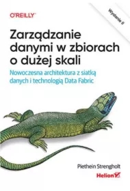 Zarządzanie danymi w zbiorach o dużej skali. Nowoczesna architektura z siatką danych i technologią D