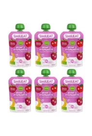 Mus z ekologicznymi malinami i jogurtem po 9 miesiącu Zestaw