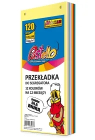 Przekładka do segregatora 1/3 A4 120K 12 kolorów