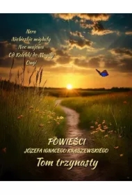 Powieści Józefa Ignacego Kraszewskiego. Tom 13