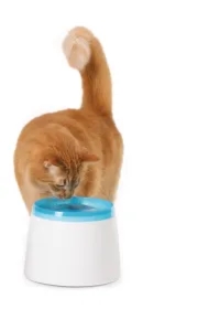 Fontanna wodna Fresh & Clean dla kotów, mała