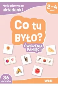 Moje pierwsze układanki. Co tu było? Ćw. pamięci