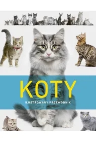 Koty. Ilustrowany przewodnik