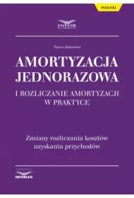Amortyzacja jednorazowa i rozliczanie amortyzacji w praktyce