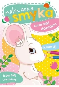 Malowanka smyka. Zwierzaki domowe