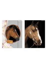 Teczka z gumką A4 Horses
