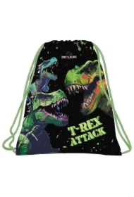 Worek na obuwie Dinozaur 20