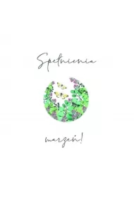 Karnet Swarovski kwadrat Marzenia CL4012_PO