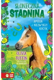 Amelia i niezwykły kucyk. Słoneczna Stadnina. Tom 5