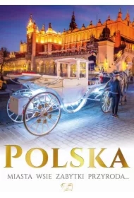 Polska miasta, wsie, zabytki, geografia