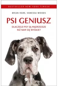 Psi geniusz