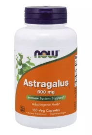 Astragalus 500 mg suplement diety