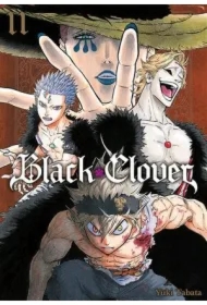 Black Clover. Tom 11