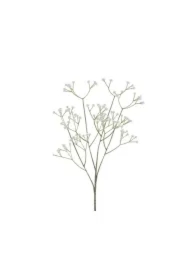 Gipsówka biała 62cm