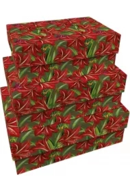 Pudełka ozdobne Gwiazda Betlejemska 3 szt