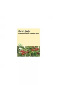 Owoc głogu herbatka ziołowa Suplement diety