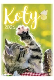 Kalendarz 2026 B4 wieloplanszowy Koty