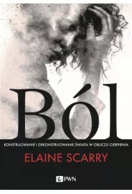 Ból. Konstruowanie i dekonstruowanie świata w..