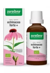 Echinacea forte (jeżówka purpurowa) krople Suplement diety
