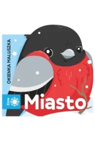 Okienka maluszka. Miasto